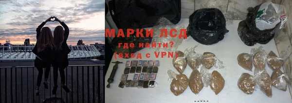 СК Горняк