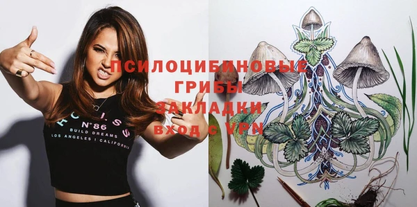 СК Горняк